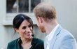 Princ Harry a Meghan