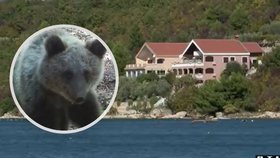 Na chorvatské pláži Meka Draga u Novigradské moře byl spatřen medvěd!