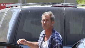 Autonehoda Mela Gibsona: Majitelka zničeného vozu herce drsně vydírá!