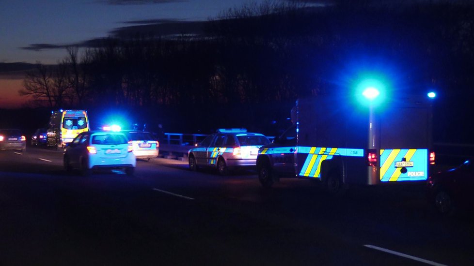 Muž se při převozu na psychiatrii popral s policisty a skočil do Labe.