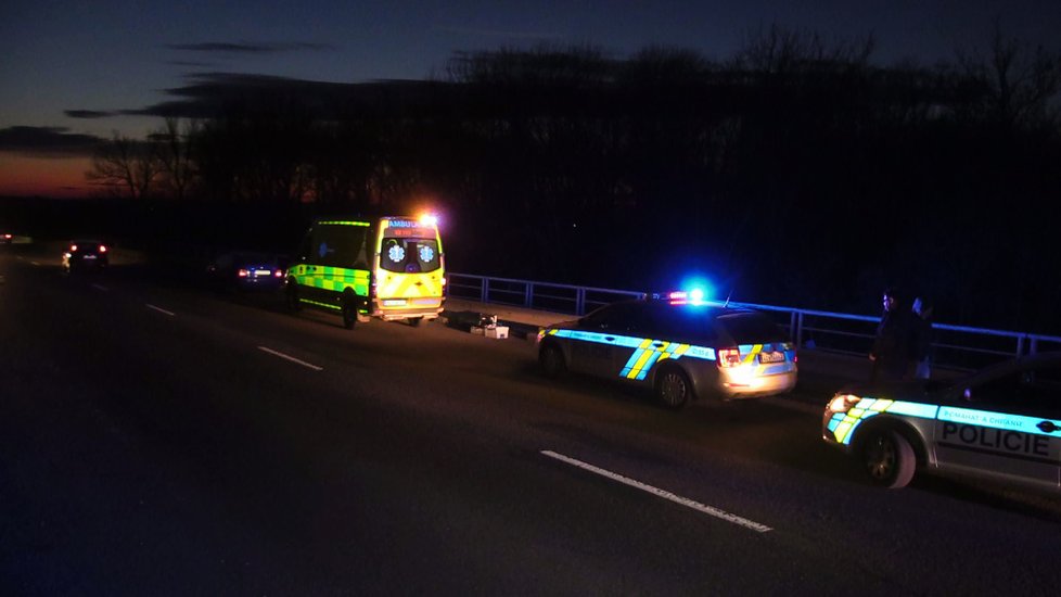 Muž se při převozu na psychiatrii popral s policisty a skočil do Labe.