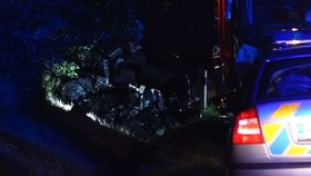 Záchranáři museli mladého řidiče ze zdemolovaného auta vystříhat.
