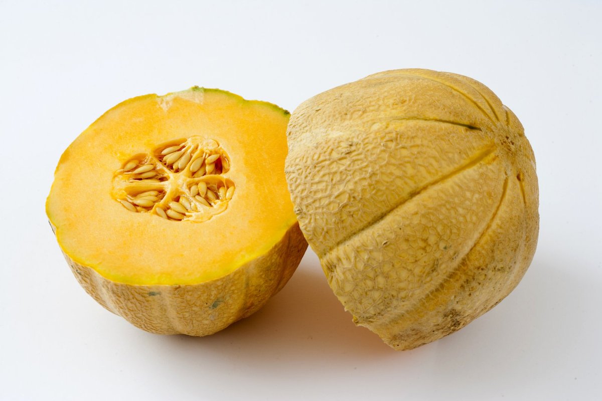 Cantaloupe