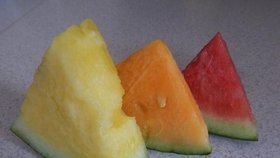 Tři odrůdy vodního melounu