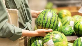 Jak koupit dobrý a zralý meloun? Plus recept na skvělý melounový salát