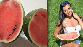 Velký melounový rádce: Pomáhá klepání na melouny? Český pěstitel „setřel“ ruské vědce