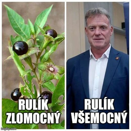 Internetová koláž Internetová koláž