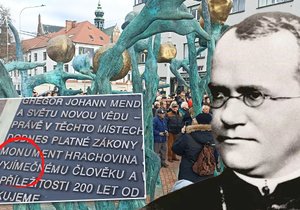 Bronzový monument Hrachovina coby pocta G.J.Mendelovi k loňskému 200, výročí jeho narození. Reakce lidí na dílo se liší.