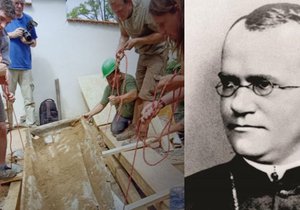 Vědci v Brně exhumovali ostatky "otce genetiky" G. J. Mendela.