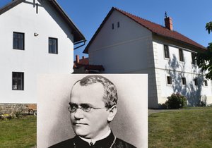 Od narození G. J. Mendela, prírodovědce, kněze, meteorologa a zakladatele genetiky, uplynulo právě 200 let. V Hynčicích stále stojí jeho rodný dům.