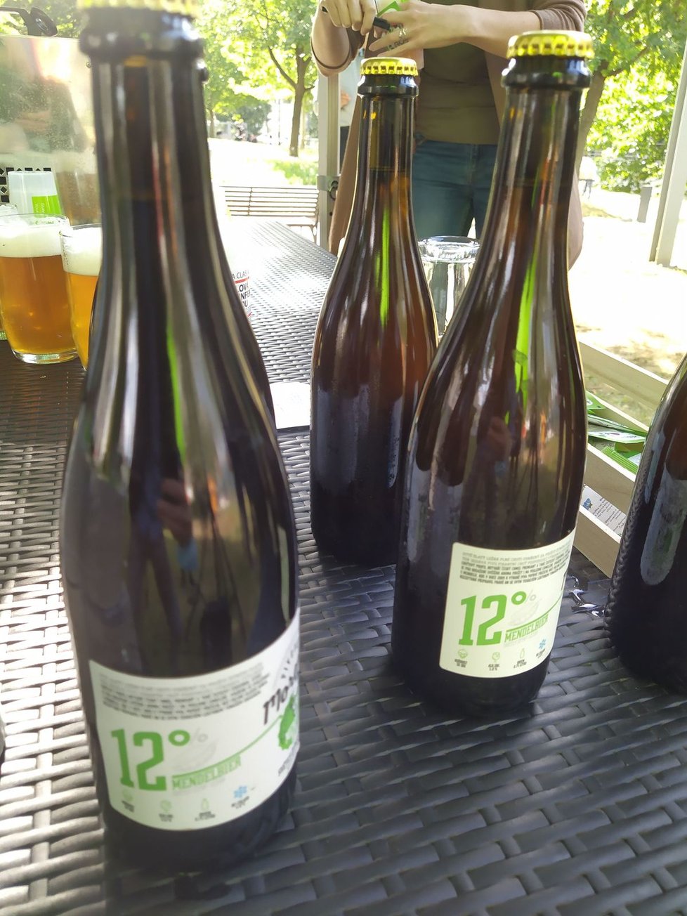 Dvanáctistupňový speciál MendelBier je už k ochutnání v v univerzitním Klubu Green. Lahvové pivo se prodává v Moravii a bude i ve vybraných pivotékách.