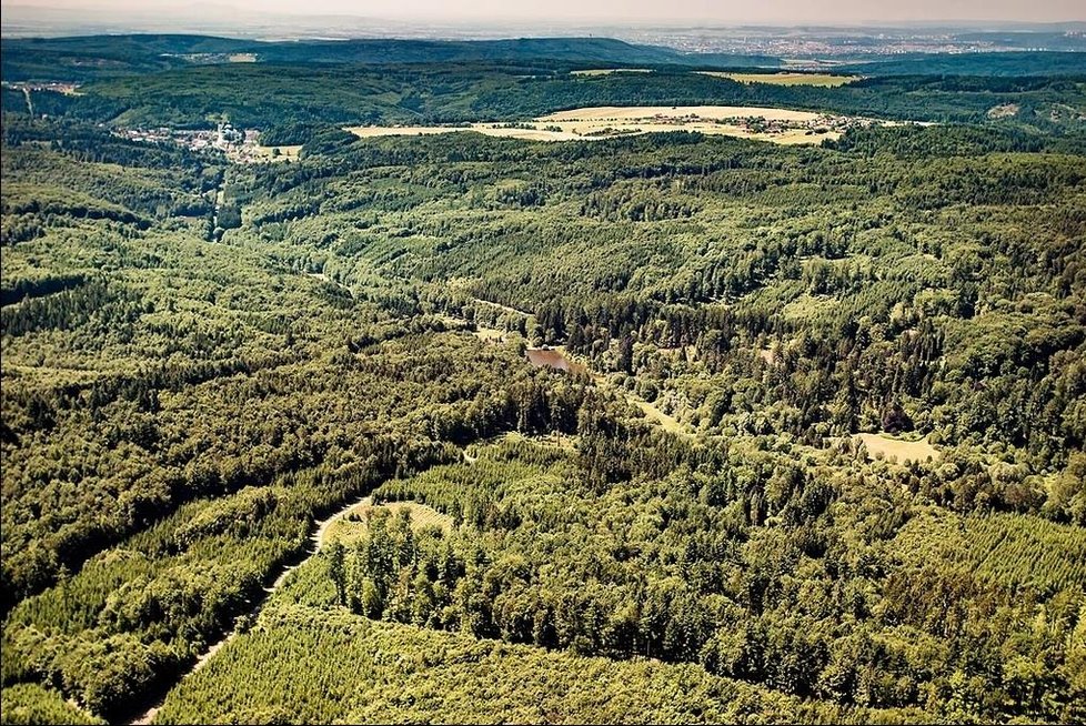 Školní lesní podnik Masarykův les Křtiny, který vlastní Mendelova univerzita v Brně, má rozlohu 10 000 hektarů. Lesy rostou od severního okraje Brna až do Moravského krasu.