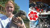 V harampádí živořilo 76 psů! Práci úřadů suplují záchranné spolky, platí i léčbu 