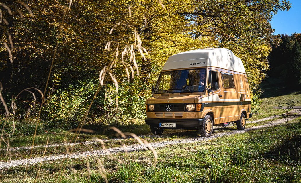 Mercedes-Benz 209 D Marco Polo