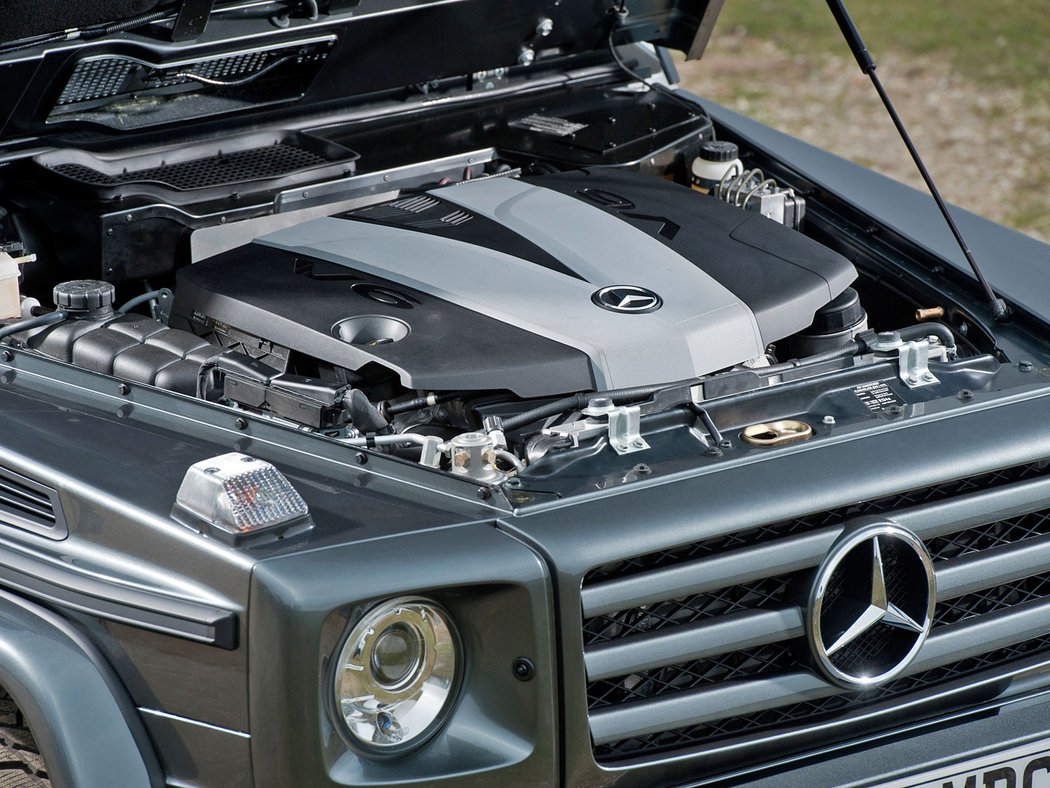 Mercedes-Benz G 350 BlueTec (2010)