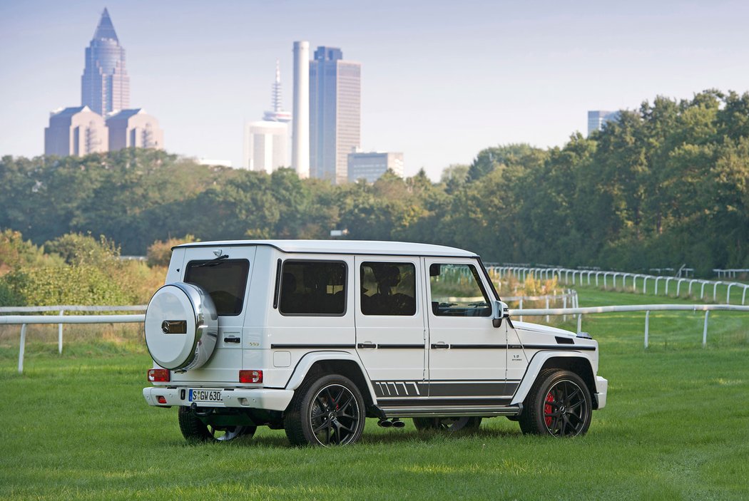 Mercedes-AMG G 63 &#34;463 Edition&#34; (2015)