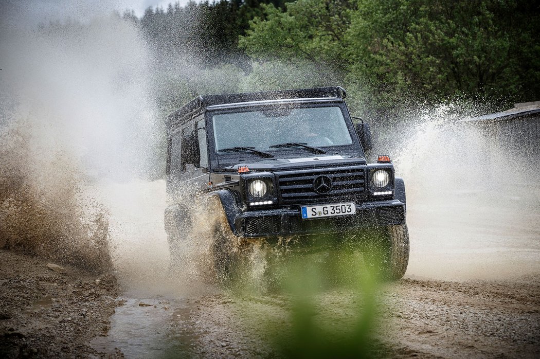 Mercedes-Benz G 350 d Professional (2016)