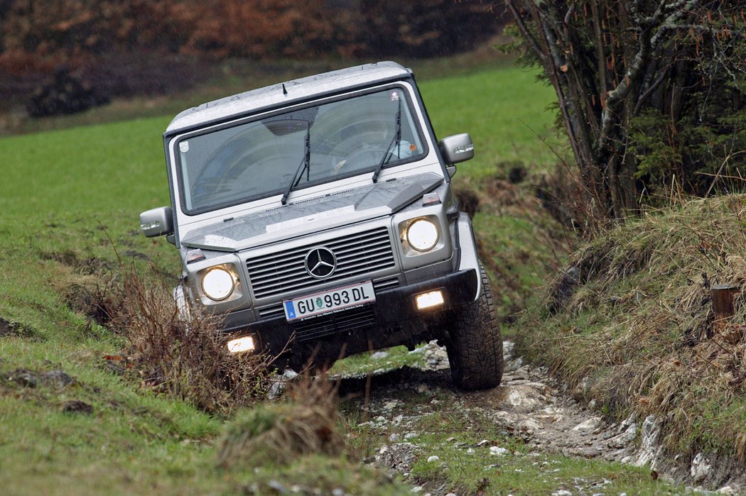 Mercedes-Benz G 270 CDI (2002)