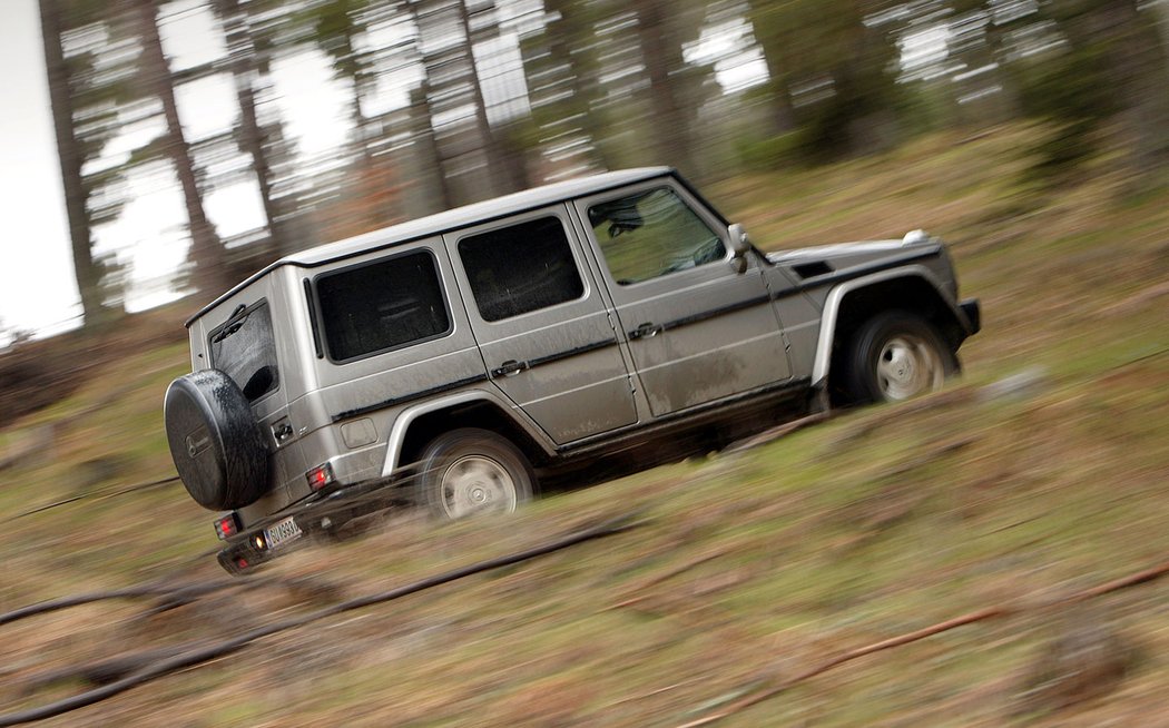 Mercedes-Benz G 270 CDI (2002)