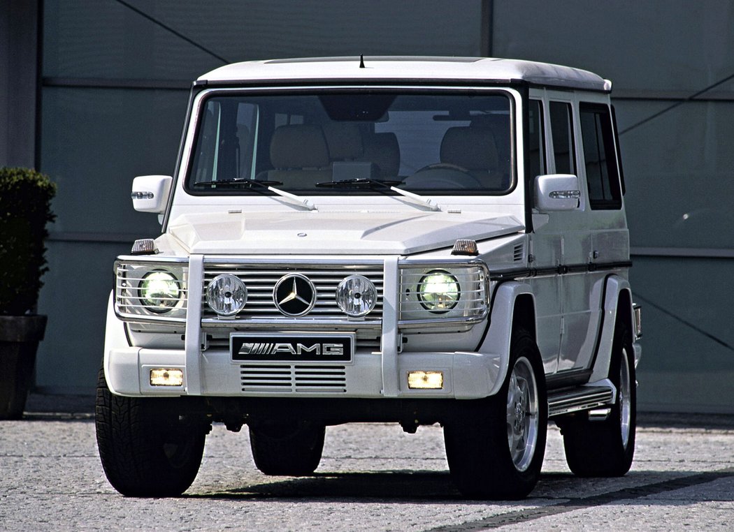 Mercedes-Benz G 63 XXL AMG (2004)