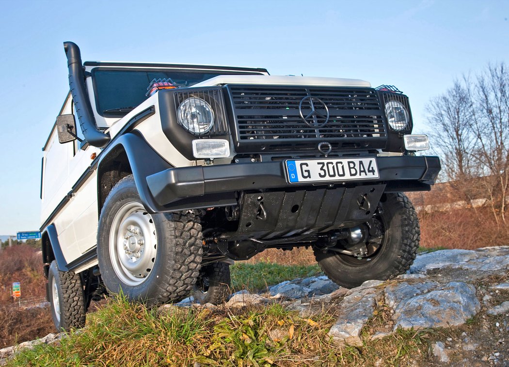 Mercedes-Benz G 300 CDI Professional Van (2010)