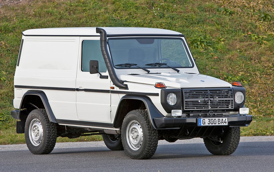 Mercedes-Benz G 300 CDI Professional Van (2010)