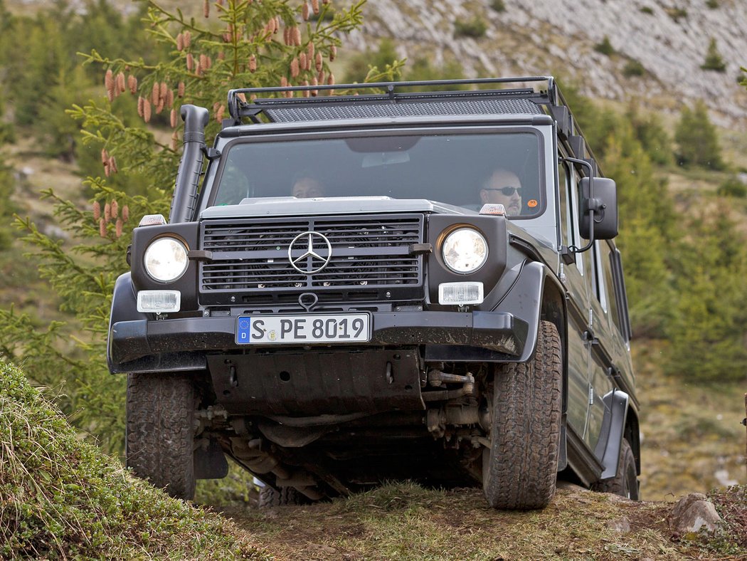 Mercedes-Benz G 300 CDI Professional (2010)