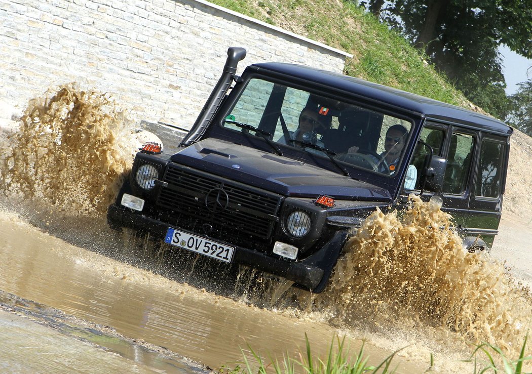 Mercedes-Benz G 300 CDI Professional (2010)