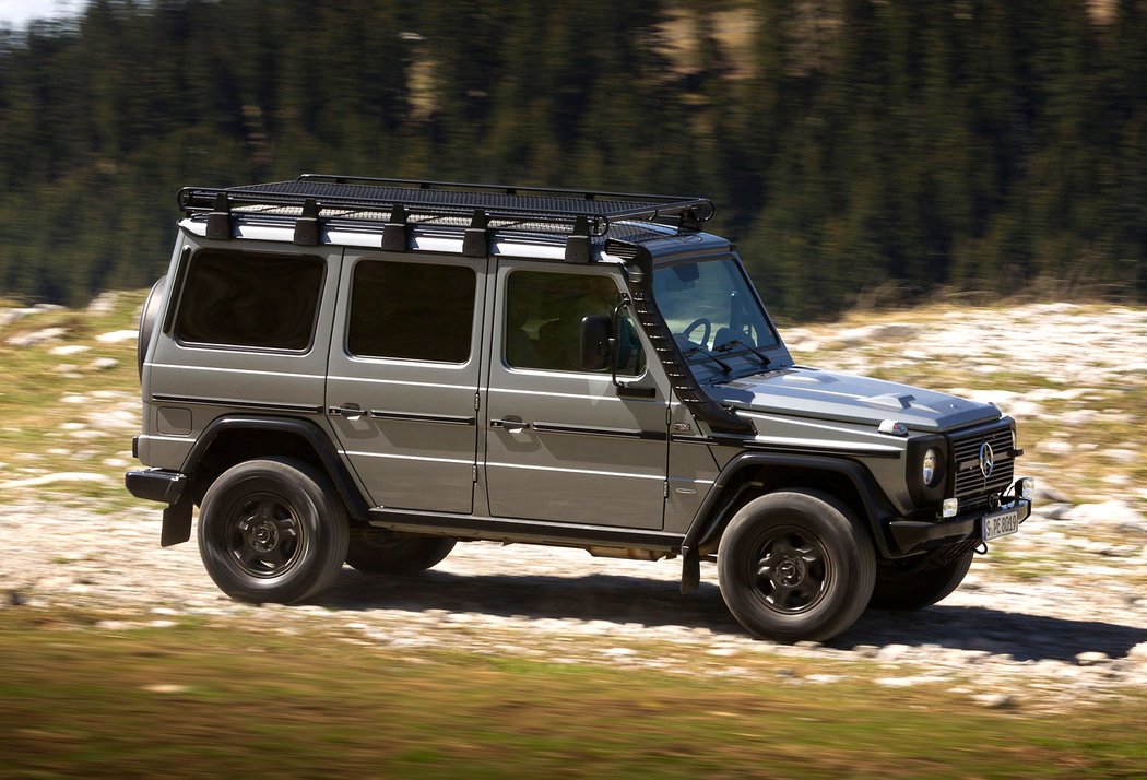 Mercedes-Benz G 300 CDI Professional (2010)