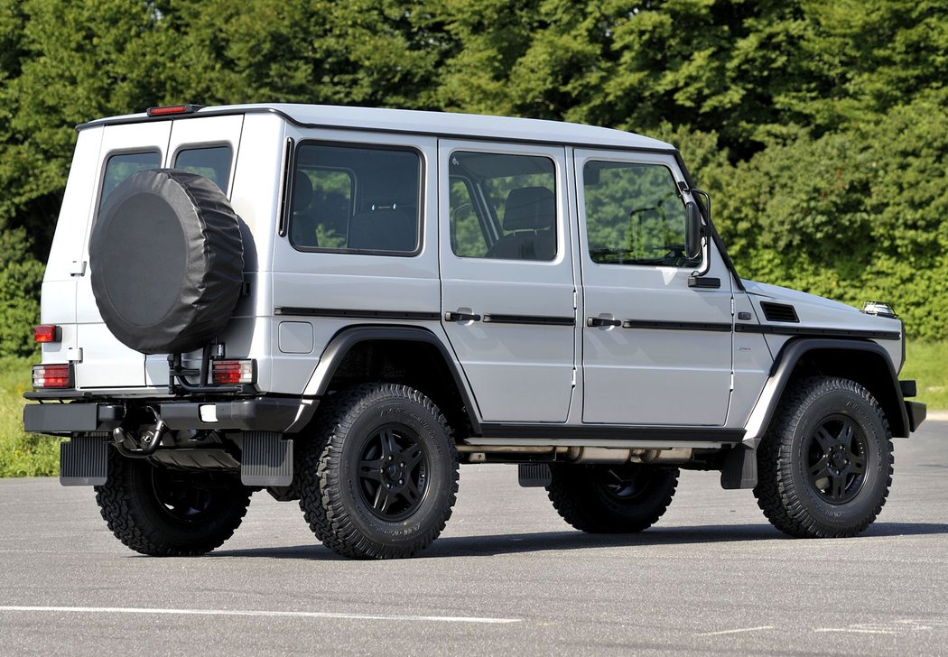 Mercedes-Benz G 300 CDI Professional (2010)