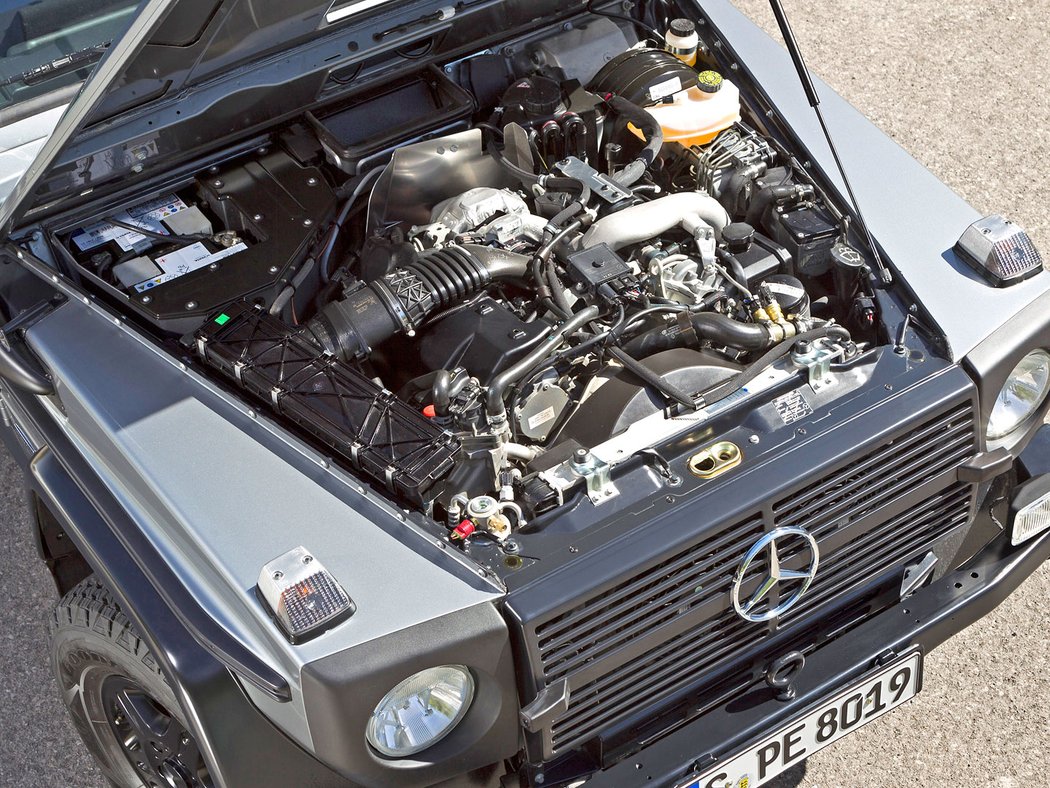 Mercedes-Benz G 300 CDI Professional (2010)