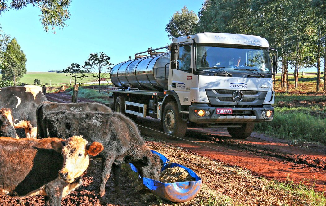 Mercedes-Benz Atego: Cisterny na mléko pro Brazílii