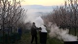 Na jižní Moravě vzplály ohně: Sadaři přitápěli meruňkám, mrzlo