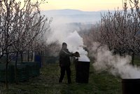 Na jižní Moravě vzplály ohně: Sadaři přitápěli meruňkám, mrzlo