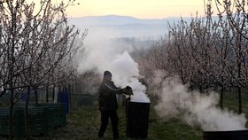 Sadaři v Buchlovicích přitápěli meruňkám a chránili je tak před mrazem.