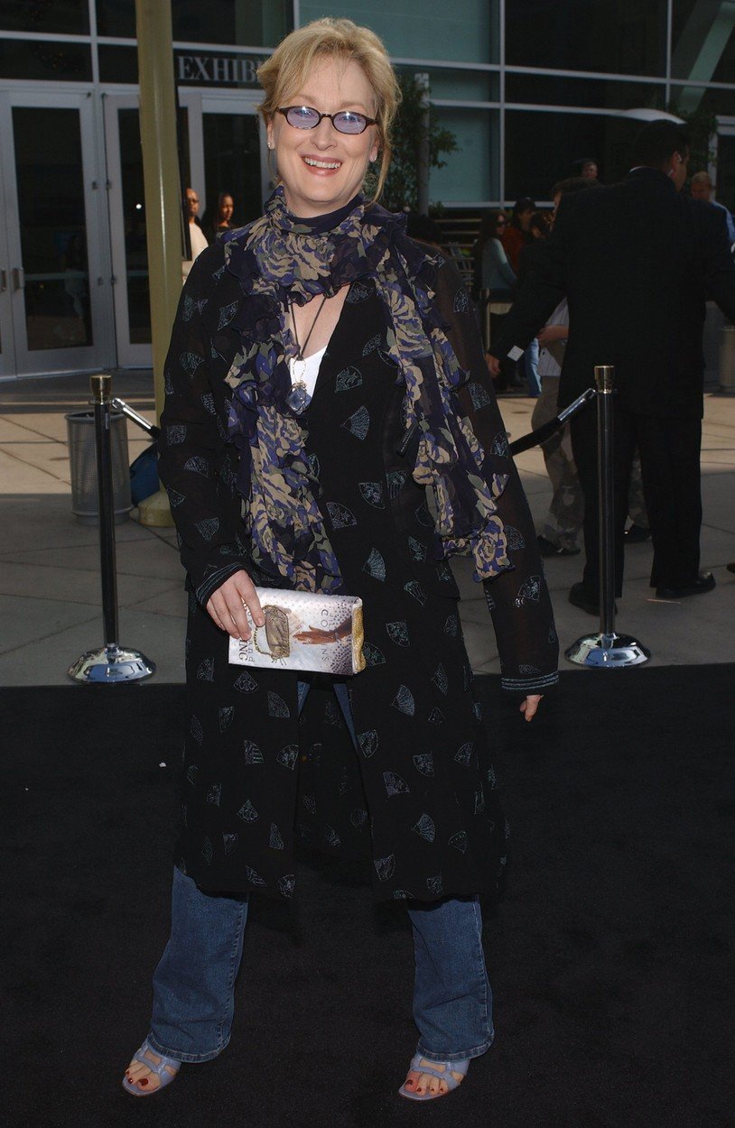 2004 - Meryl v Californii.