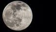 Na Měsíc se chystá lunární vozítko Rašíd Spojených arabských emirátů.