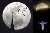 (Super)měsíčku na nebi hlubokém... Země zažila největší letošní úplněk