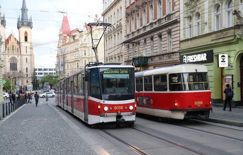 Kuriózní ztráty a nálezy v pražské MHD: Chlebíčky, tágo i párek leguánů! 