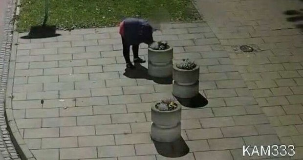 Žena v Břeclavi pustošila v noci městské záhony. Žena v Břeclavi pustošila v noci městské záhony.