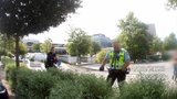 Kachňata vyrazila na špacír, zablokovala dopravu v Brně