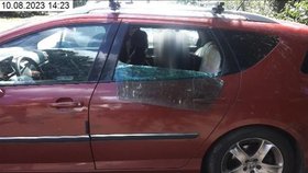 Muž (50) v Brně nechal v autě zamčeného svého psa. Kolemjdoucí na autě rozbil okno.