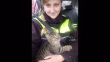 Kotě uvízlo na protihlukové stěně: Strážníci zastavili dopravu a zachránili ho