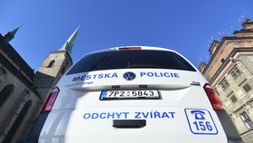V řadách Městské Policie Plzeň je zaměstnaný už s kriminální minulostí a extremistickými názory.