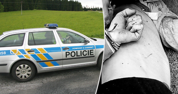 Pod obraz zpitý šofér v Rotavě ujížděl policii se synem v autě: Hoch zmizel.