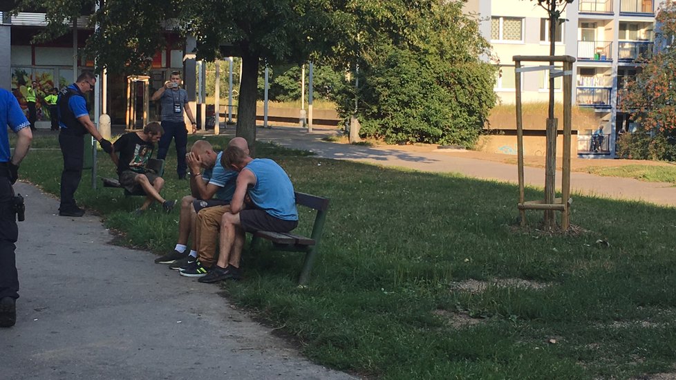 Partičku čtyř mužů a jedné ženy pod vlivem alkoholu i nejspíše omamných látek načapali v Hájích při krádeži. To se jim nelíbilo, tak začali demolovat obchod.