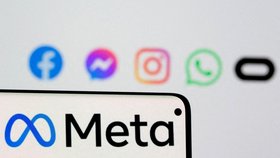 Meta vlaství sociální sítě Facebook a Instagram.