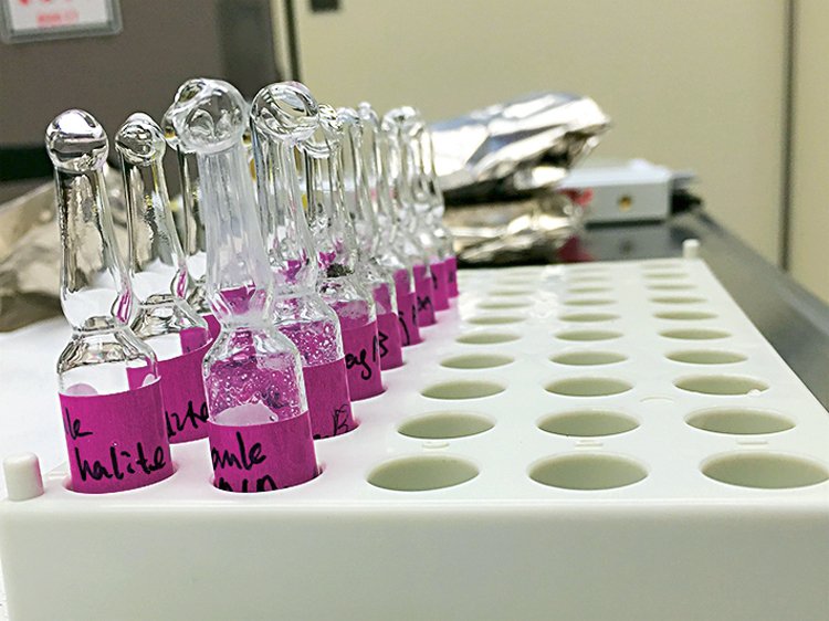 Rozpuštěné vzorky halitu určené k analýze aminokyselin