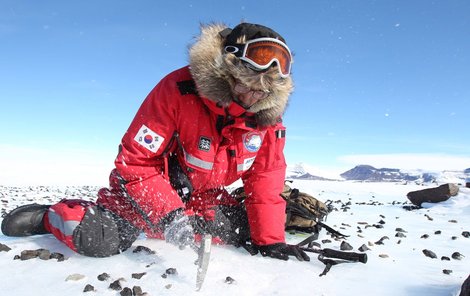 Na Antarktidě se meteority hledají zdaleka nejlépe.