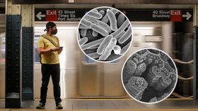 V průměrné stanici metra se nachází spousta virů a bakterií.